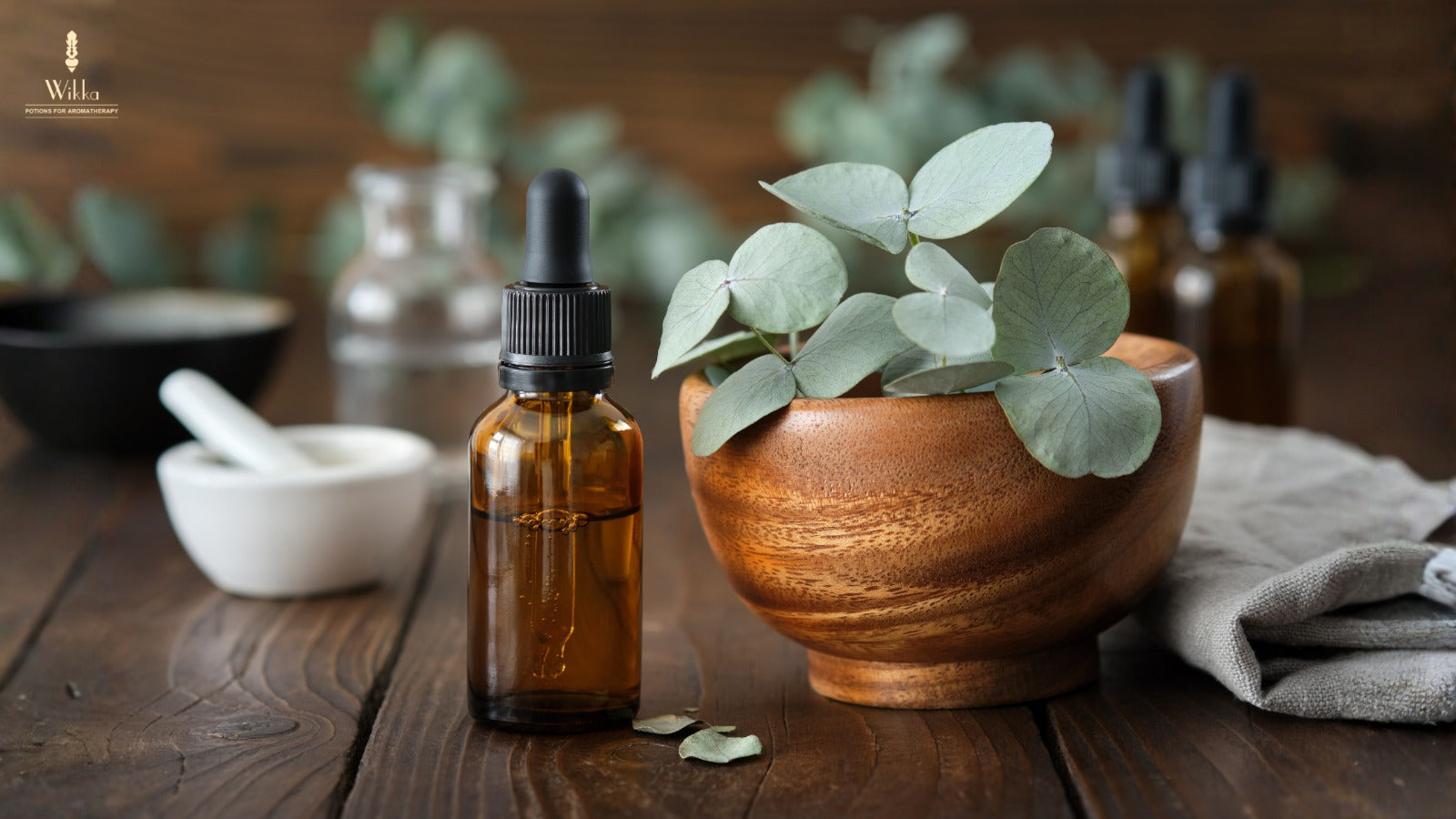Eucalyptus Oil Benefits for Health and Skin – Wikka Potions for
