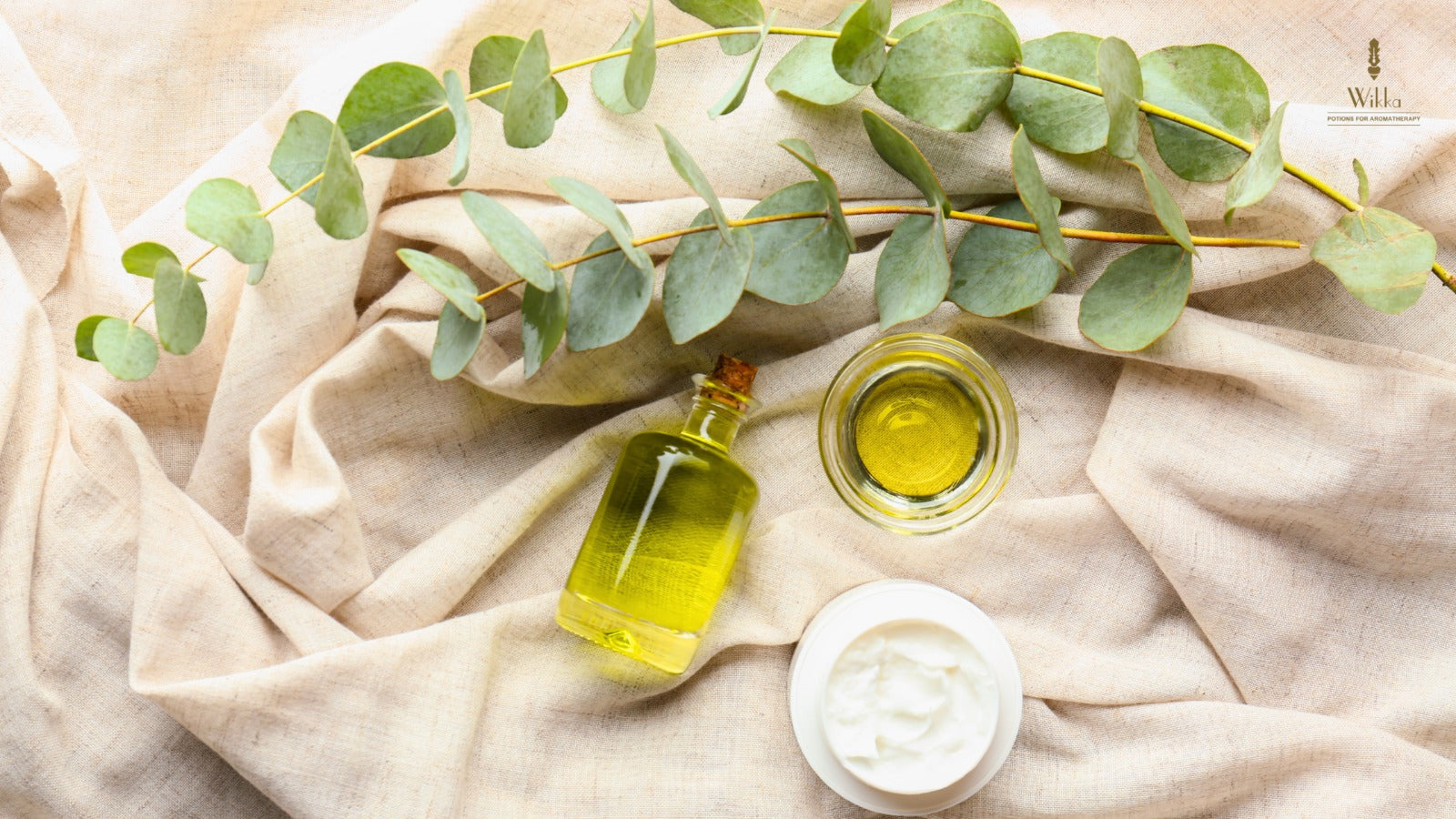 Why You Should Keep Eucalyptus Oil at Home