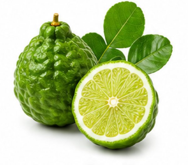 Bergamot Essential Oil