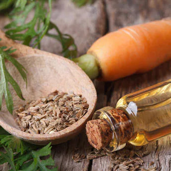 Carrot Seed oil