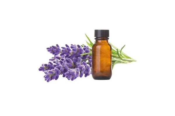 Lavender Oil