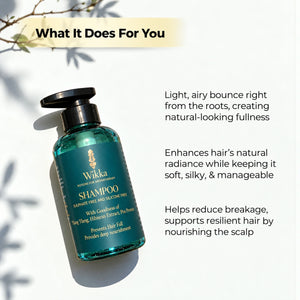 Shampoo